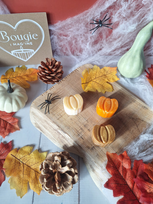 Le Grimoire des Citrouilles - Coffret 9 Fondants Parfumés
