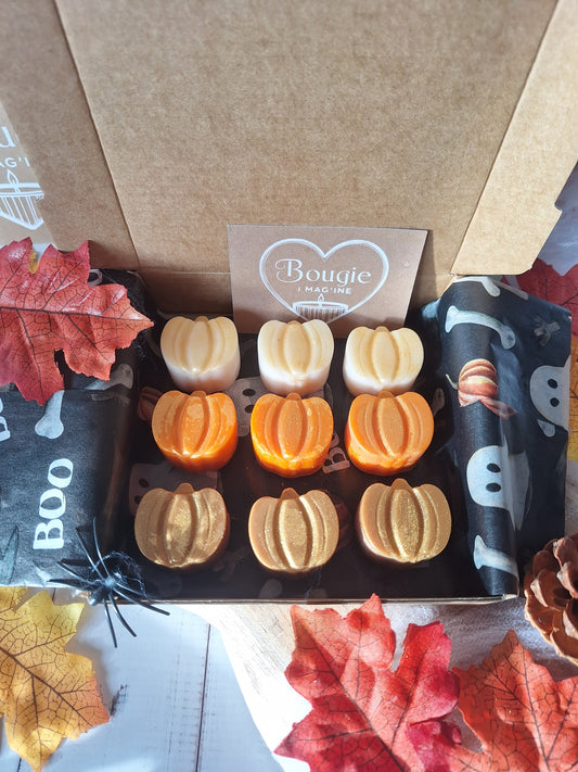 Le Grimoire des Citrouilles - Coffret 9 Fondants Parfumés