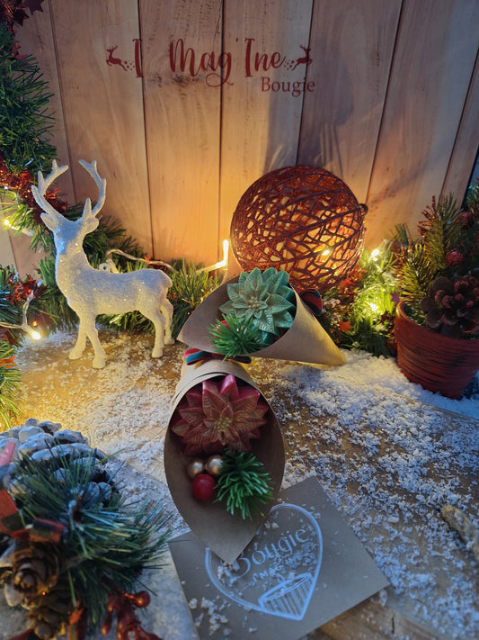 Fleur de Cône – Édition Spéciale Noël